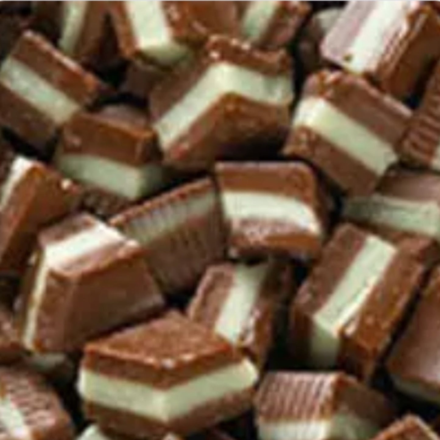Chocolate & Mint 